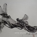Pen painting creation "fly"